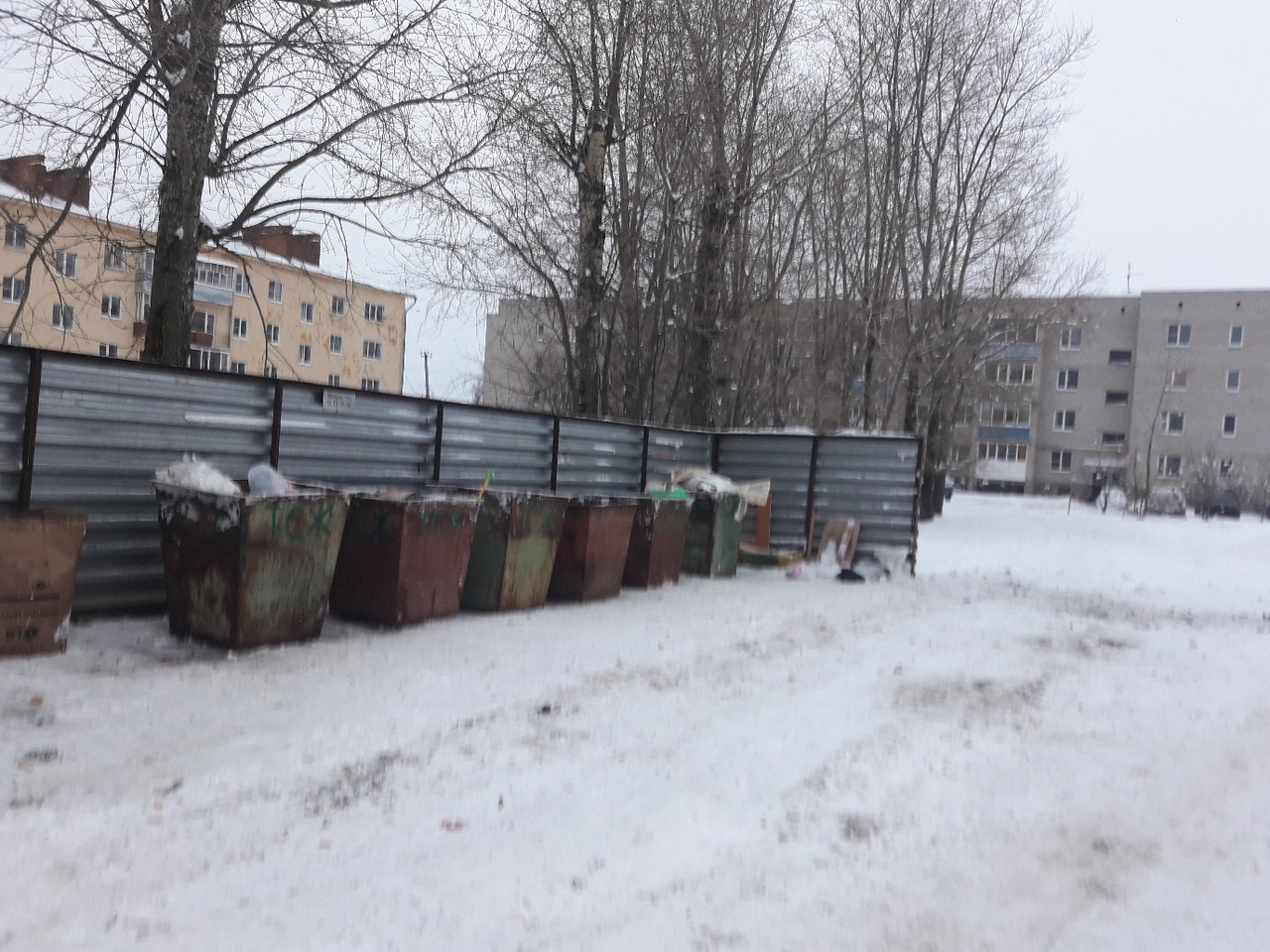 Год свиньи Вологодская область встретила заваленными мусором контейнерными площадками