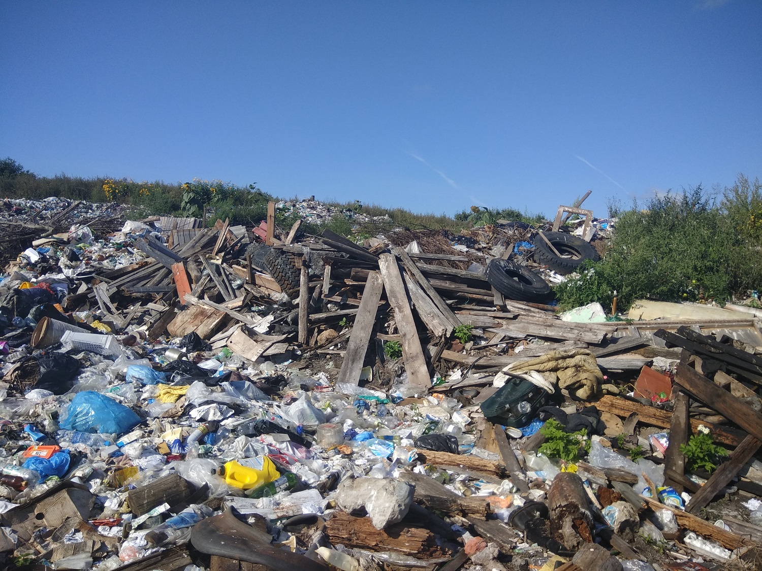 Замглавы администрации Белозерского района оштрафовали на 50 тысяч рублей за незаконную мусорную свалку