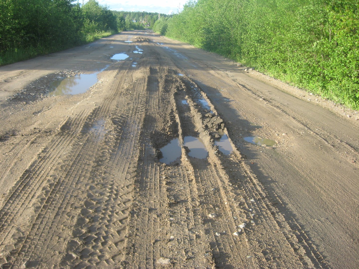 Дорогу Вожега-Ерцево, строительство которой было заморожено в 2002 году, обещают достроить спустя 18 лет