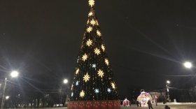 В Вологде зажгли главную новогоднюю ель
