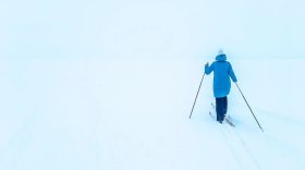 Экс-глава Вологды предложил вологжанам выиграть путевку на горнолыжный курорт