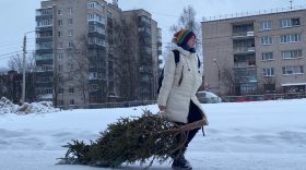 После праздников жители Вологды смогу сдать натуральные новогодние ели в переработку
