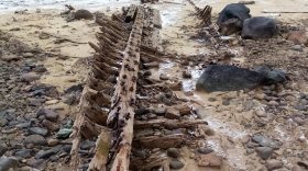 Остов большой лодки и крупный камень-шунгит обнаружили на берегу Рыбинского водохранилища в Вологодской области