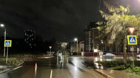 Двух пешеходов сбил автомобиль на улице Новгородской в Вологде 11 ноября