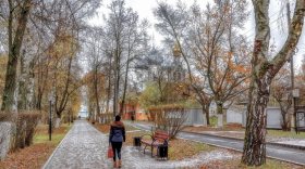 Метеорологическая зима пришла в Вологодскую область с запозданием