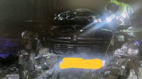 В Вологодском районе автомобиль «Лада Приора» сбил лося на трассе