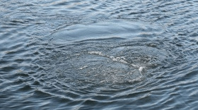 На озере в Белозерском районе мужчина выпал из лодки и утонул