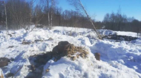 В Череповецком районе бывший чиновник сдал в металлолом водонапорную башню