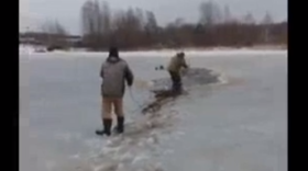 Сотрудники Дарвинского заповедника спасли кабанов, которые провалились под лед