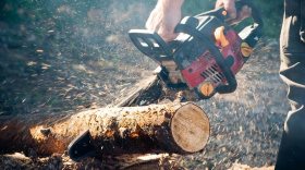 Лесозаготовителя из Верховажского района оштрафовали за незаконную рубку в водоохраной зоне