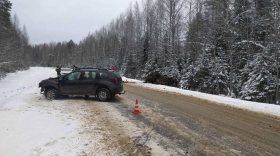 В Сокольском районе 86-летний водитель погиб в аварии, выехав на встречку