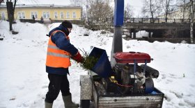 Более 600 новогодних елей сдали в переработку после праздников жители Вологды