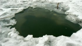 В Вытегорском районе лыжник утонул в реке Андома
