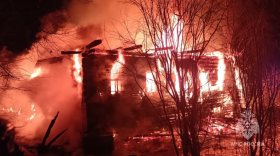 Мужчина и женщина погибли при пожаре в Тарногском районе