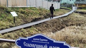 Четыре новых гранта общей суммой свыше 20 миллионов рублей выиграли проекты Тотемского муниципального округа
