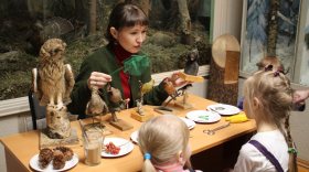 Несколько экскурсионных программ подготовили на ближайшие выходные сотрудники Вологодского музея-заповедника