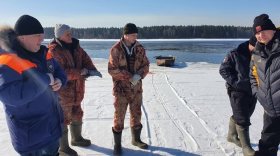 Спасатели прогнали 40 рыбаков со льда на реке Шексне