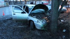 В Вологде 18-летняя девушка без прав врезалась на ВАЗе в дерево
