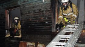 В Вологодской области при пожаре погибли двое детей и трое взрослых 