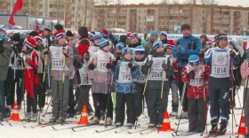Около 3 тысяч вологжан вышли на «Лыжню России»