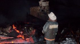 Дом и хлев с лошадью сгорели в Вологодской области