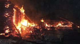 Корова, телята, поросята и курицы погибли на пожарах в Вологодской области