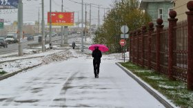 Первый снегопад в Вологде и его последствия