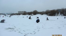 Соревнования по ловле рыбы на мормышку прошли на реке Вологде
