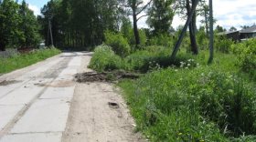 Житель Вохтоги украл дорожные плиты с улицы и вымостил ими дорогу к своему дому