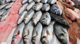 В Вологодской области обнаружено фантомное рыбное производство