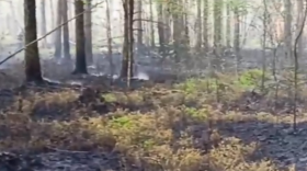 В Шекснинском районе горит торфяник