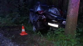 В Череповецком районе водитель «Нивы Шевроле» врезался в дерево и погиб
