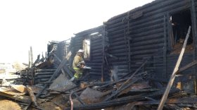 В Устье во время пожара в деревянном доме погибли отец и сын