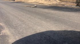 «Подарок для главы?»: в Сокольском районе отремонтировали дорогу к участку тещи главы муниципалитета
