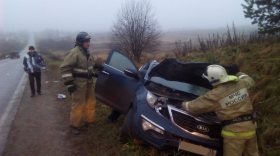 В Грязовецком районе водитель «Киа» сбил насмерть перебегавшую дорогу женщину