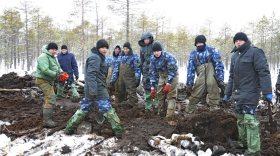 В Бабаевском районе поисковики подняли из болота тело погибшего летчика