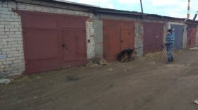 В Вологде полицейская собака помогла задержать подростка-грабителя