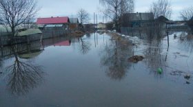 Губернатор Вологодской области сказал президенту, что уровень воды упал во всех населенных пунктах