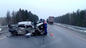 В Шекснинском районе водитель «Рено Логан» погиб после столкновения с фурой