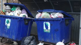 Прокуратура: исследования, необходимые для установки норматива по вывозу мусора в Вологодской области, в реальности не проводились