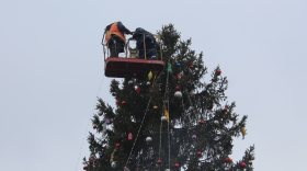 Дед Мороз из Великого Устюга сегодня зажжет огни на вологодской елке в Симферополе 