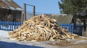 В Череповецком районе задержали мужчину, который незаконно вырубил на дрова 130 деревьев