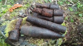 В Вытегорском районе в лесу обнаружили снаряды и мины времен Великой Отечественной войны