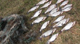 В Череповецком районе полицейские поймали рыбака-браконьера
