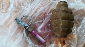 В Вологде рядом с мусорным баком обнаружили разобранную боевую гранату с тротилом