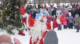 Чай из самовара и два Деда Мороза: во Фрязиновском парке в Вологде встретили Рождество