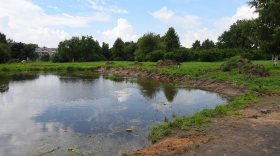 На очистку прудов в Ковыринском парке в Вологде выделили 100 тысяч рублей