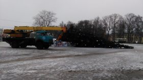 На площади Революции в Вологде упала новогодняя елка