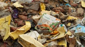 Возле деревни Ботово в Череповецком районе обнаружили свалку испорченных продуктов