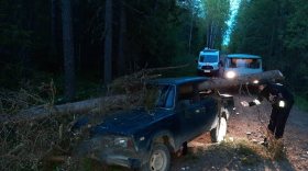 В Вытегорском районе автомобиль врезался в дерево: водитель получил травмы